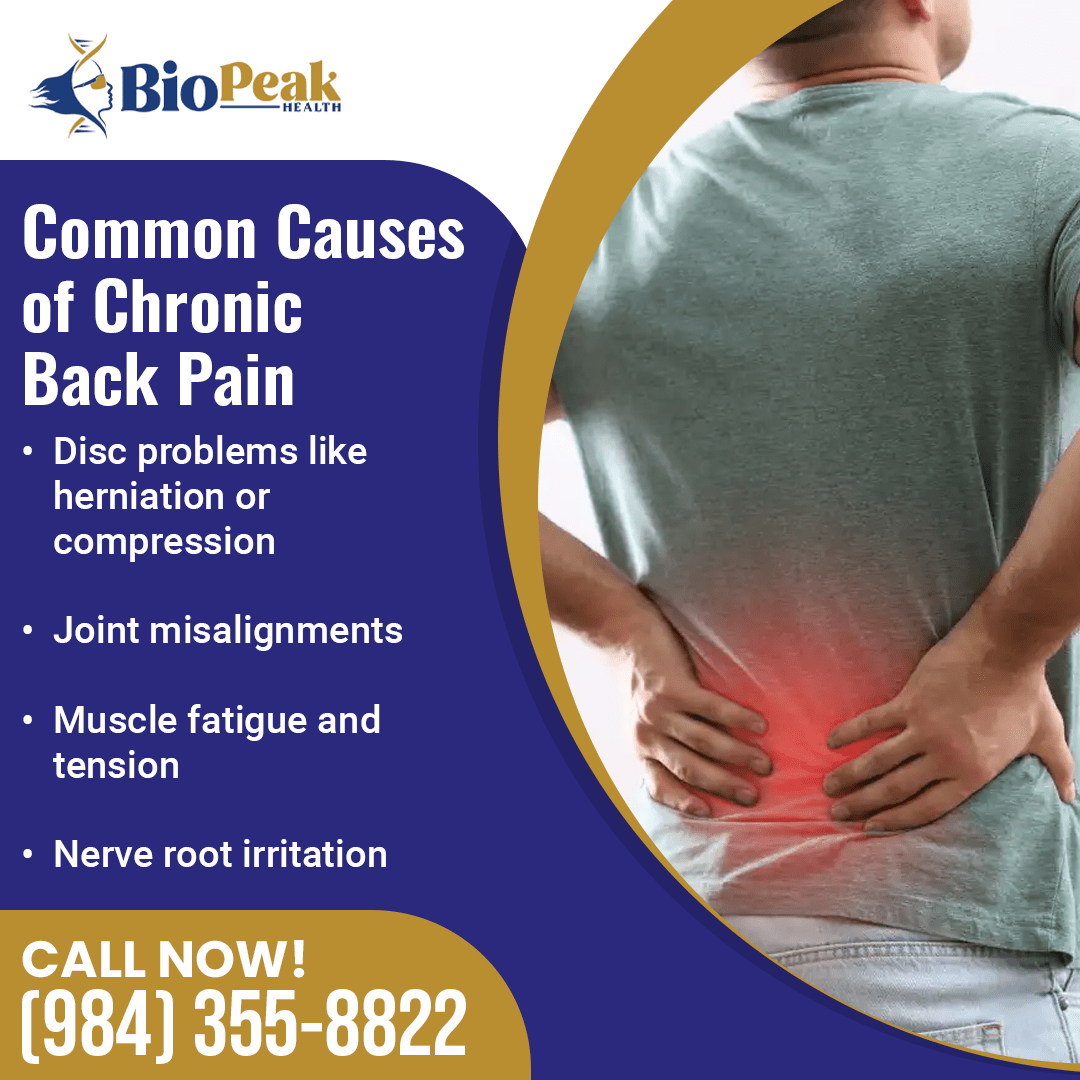 Causes of Chronic Back Pain